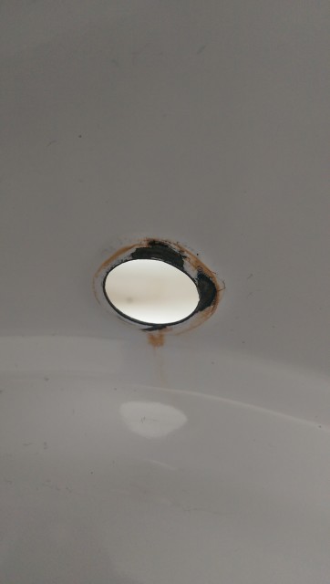 IMAG0260.jpg