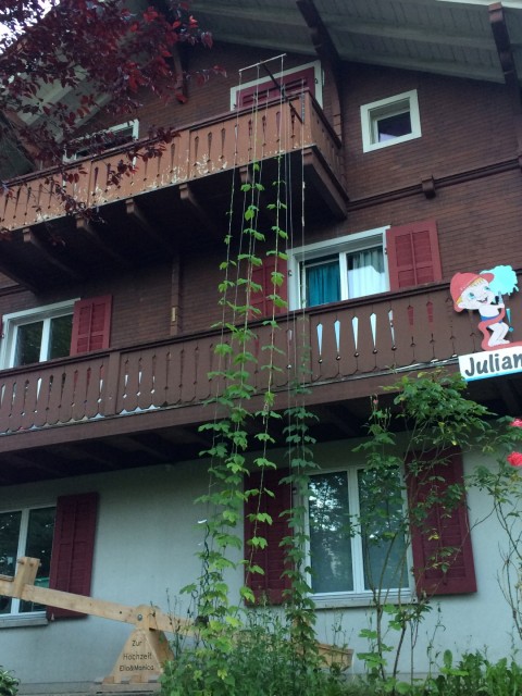 2016-06-23 06.00.08.jpg