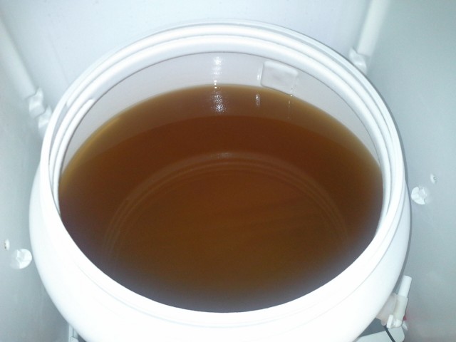 20160623_105258.jpg (447.94 KiB) 8731 mal betrachtet Der nächste Morgen - heruntergekühlte Würze