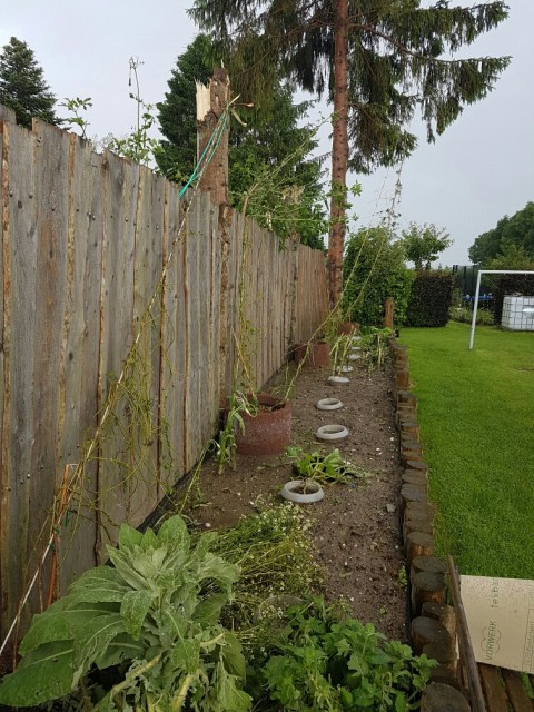 20160626_155339.jpg