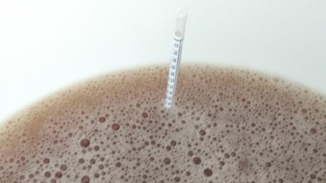 Stammwürze nach Kühlen, 20° Plato!