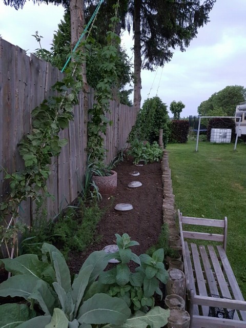 20160625_231001.jpg