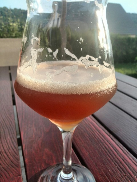 PaleAle mit MandarinaBavaria VWH