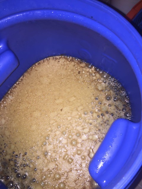 01800a925c0253aff679227ea2bf2bb12ea37d094a.jpg