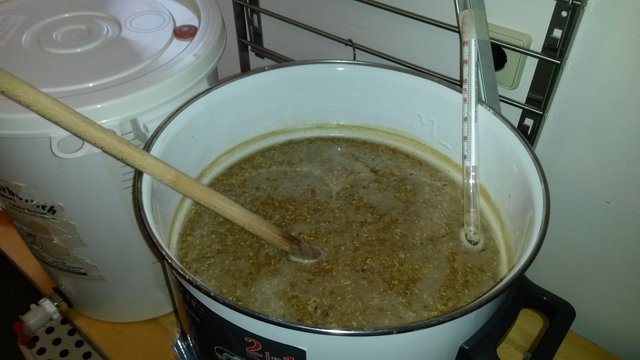 erste Maltoserast bei 64 °C