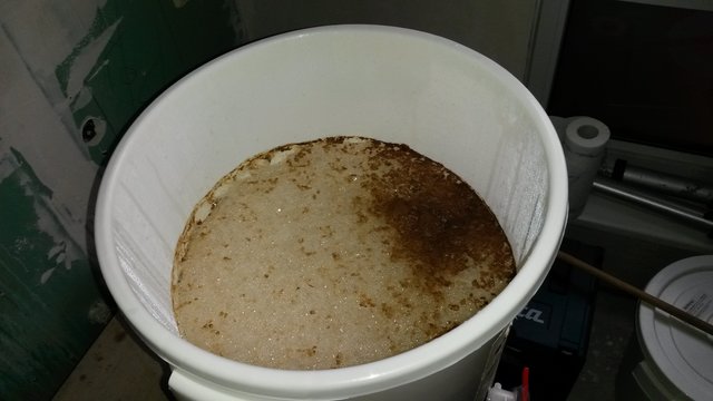 Die Hefe nach 12 Stunden