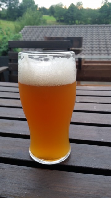 20160722_202111.jpg