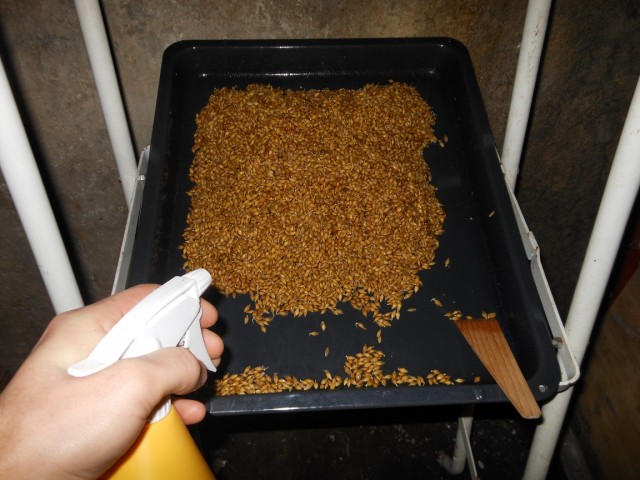 Feuchthaltung Keimgut