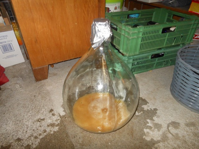 Hefeherführung (Wyeast 2308 Munich Lager)