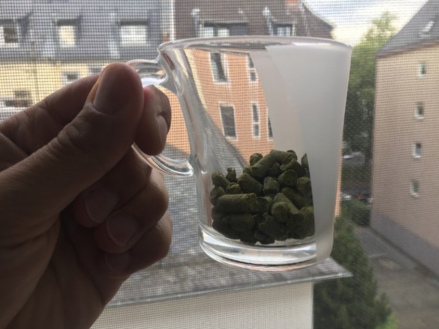 Erste Hopfengabe