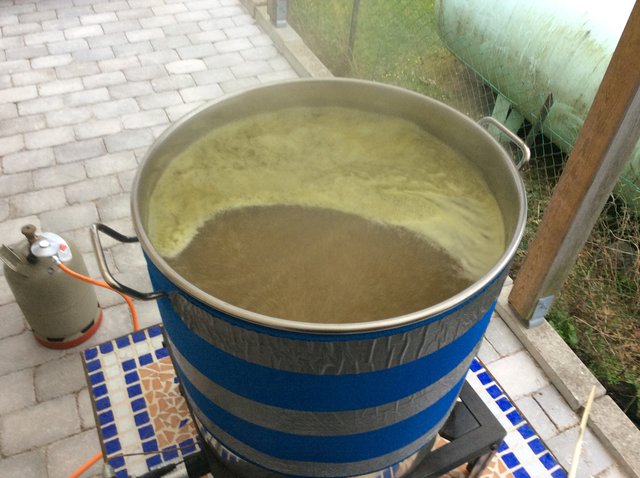 Hopfenkochen