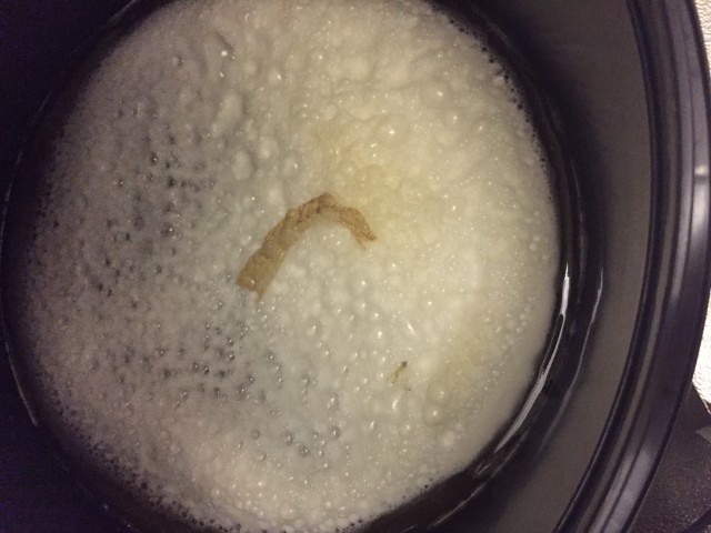 IMG_8380.JPG (611.54 KiB) 20103 mal betrachtet Pils fürs Volk