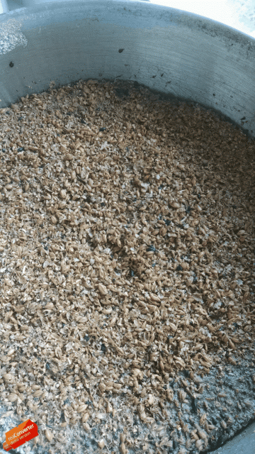 Der Treberkuchen - 27l der 19°P Würze gingen in die Sudpfanne.