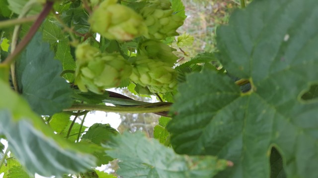 20160829_123838.jpg
