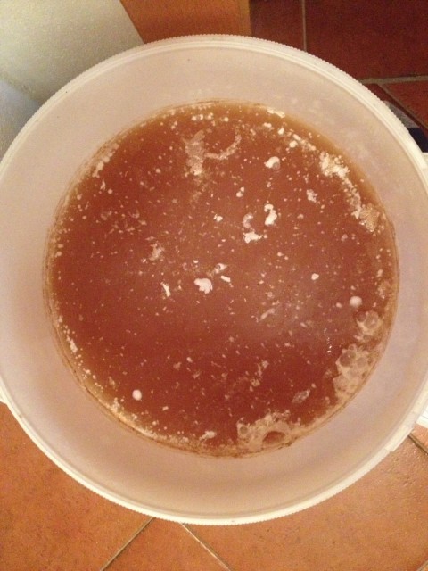 weissbier.jpeg