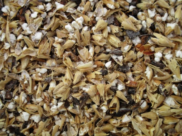 Die geschrotete Malzmischung für das Weizenbock.