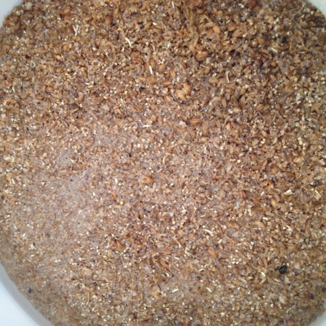 10.BronxBestBitter_20160910_131408_Keimlinge.JPG (525.21 KiB) 9686 mal betrachtet Keimlinge