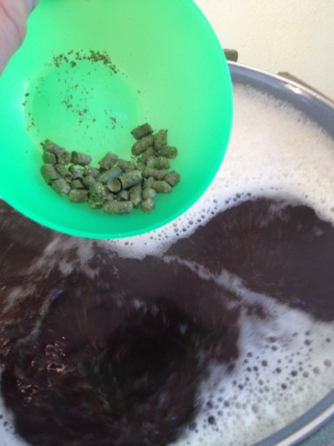 10.BronxBestBitter_20160910_132907_1.Hopfengabe_EKG.JPG (201.72 KiB) 9686 mal betrachtet 1. Gabe East Kent Golding