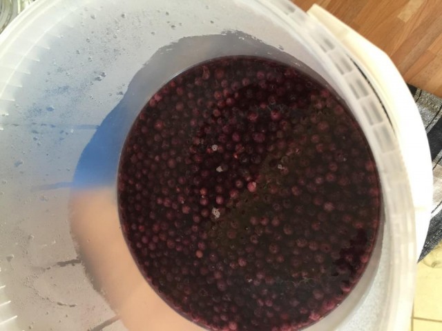 Teilsud 1 mit Blaubeeren