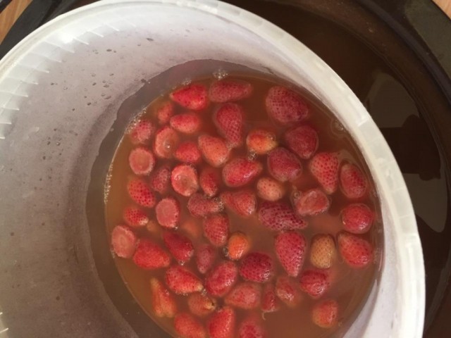 Teilsud 2 mit Erdbeeren