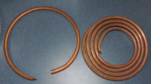 Hopfenseier&Lauterschnecke.JPG