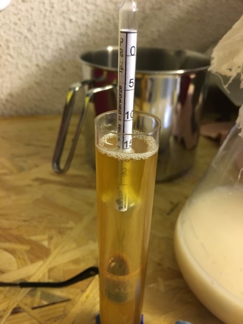 Da hätte ich besser dem Refraktometer geglaubt und weiter angeschwänzt! Ziel waren 12°P.
