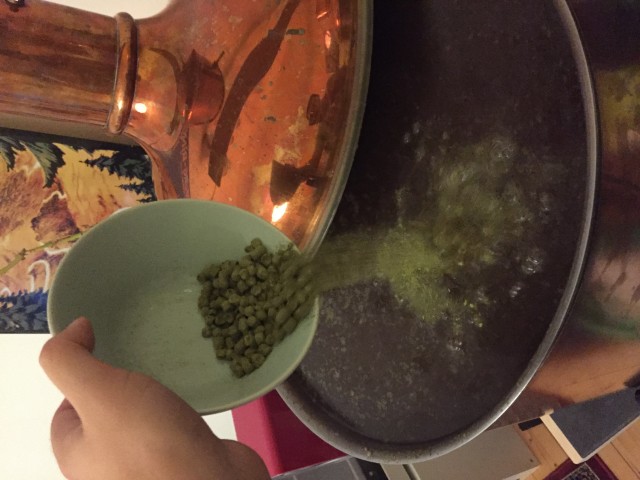 Whirlpoolhopfung
