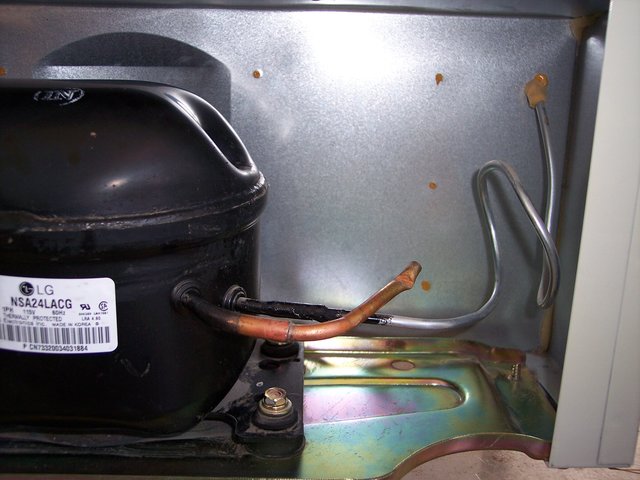 100_4462.jpg