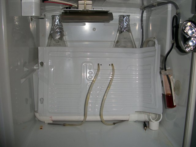100_3091.jpg