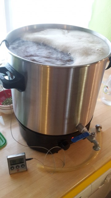 Kochen schafft der Einkocher ohne Probleme auch allein
