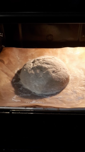 und ab in den Ofen