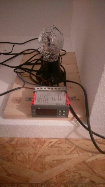 IMAG0215-480x853.jpg
