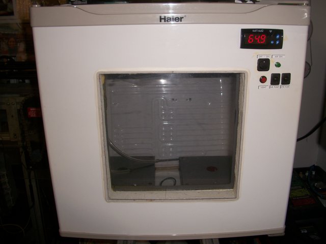 100_1426.JPG