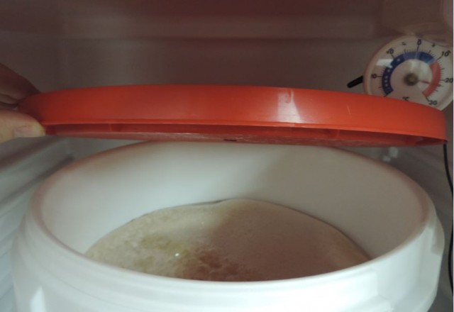 Whisky_Wash.JPG
