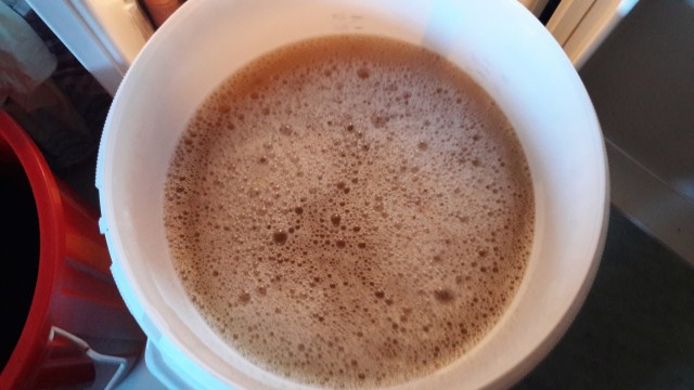 20161029_130932.jpg