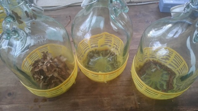 14954495_328968917476918_1081567995_o.jpg (205.7 KiB) 7001 mal betrachtet Einmal trocken bittesehr