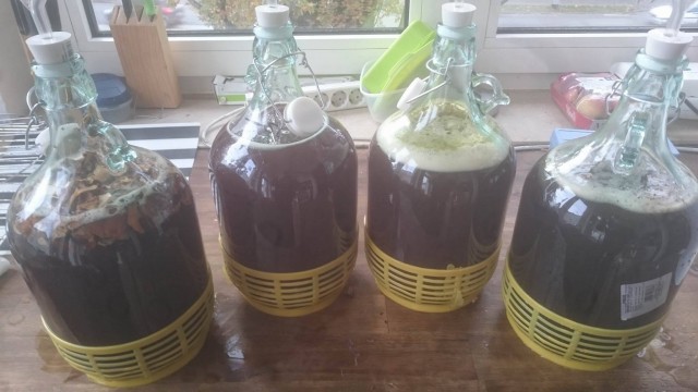 14964175_328968904143586_125012827_o.jpg (184.18 KiB) 7001 mal betrachtet Wer kann erraten was hier was ist?