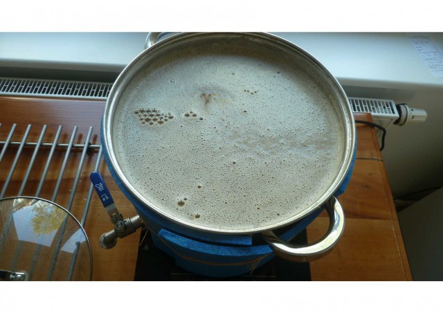 Gerade eingemaischt.