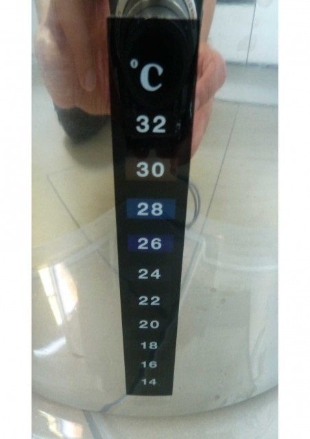 Den Trick mit dem Aquarienthermometer hab ich zum ersten Mal bei Hagen (Hasebier) gesehen, das macht ja alles soviel entspannter!