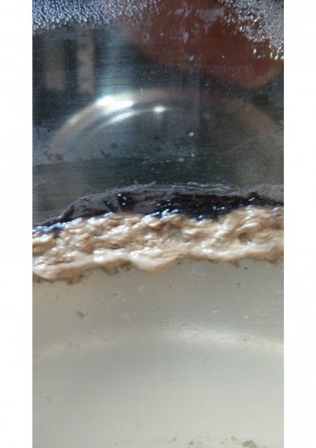 So sah das ein paar Tage später nach dem umschlauchen aus.