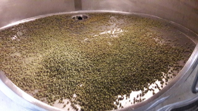 16. 4,5kg Hopfen.jpg (443.06 KiB) 2825 mal betrachtet Für's Whirlpool sind 4,5 kg gemischte Hopfen (Cascade, Citra und Amarillo) vorbereitet