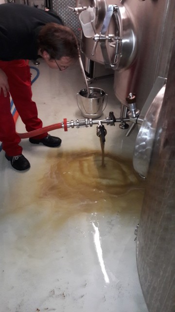 18. Vom Kühler ins Gärböttich.jpg (257.89 KiB) 2825 mal betrachtet Nach dem Whirlpool durch den Kühler und in den Gärbottich