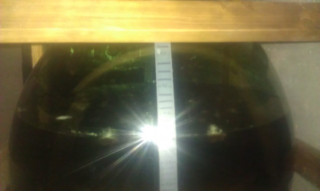 IMAG0144.jpg (512.88 KiB) 19204 mal betrachtet Oud Bruin