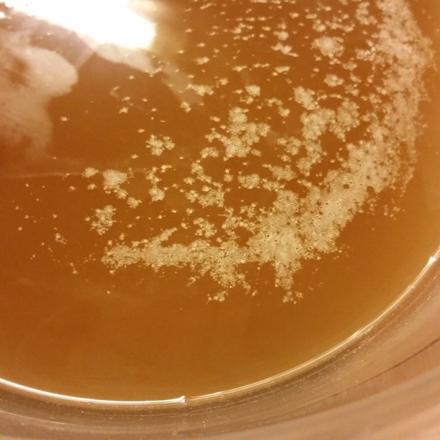 Hefe-Starter