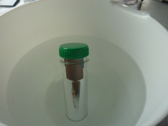 P1080476_Bildgröße ändern.JPG