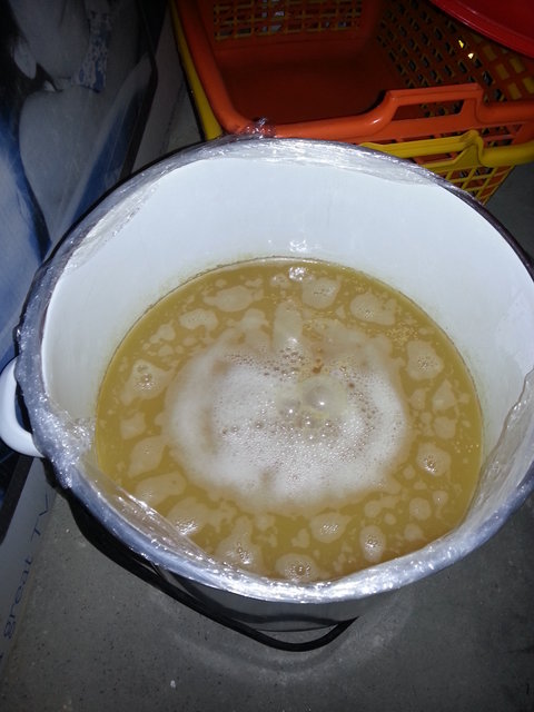 Jungbier