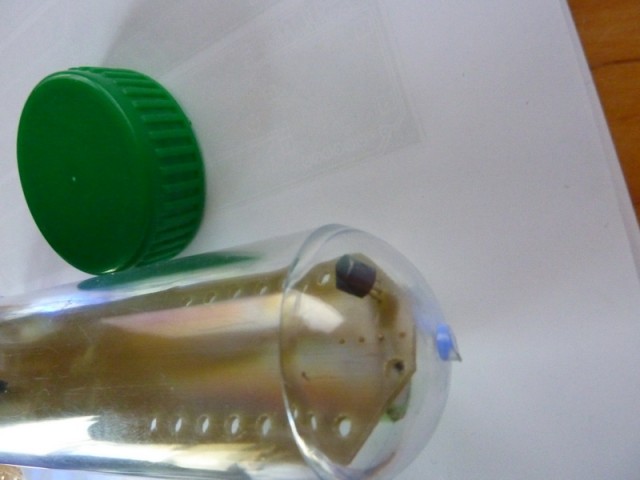 P1080505_Bildgröße ändern.JPG