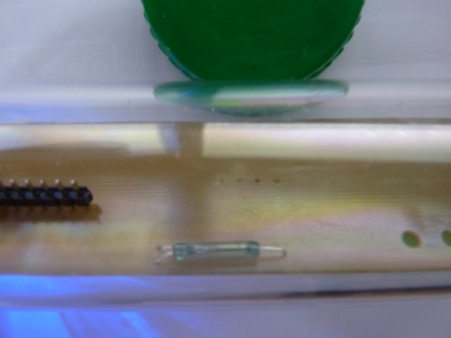 P1080506_Bildgröße ändern.JPG