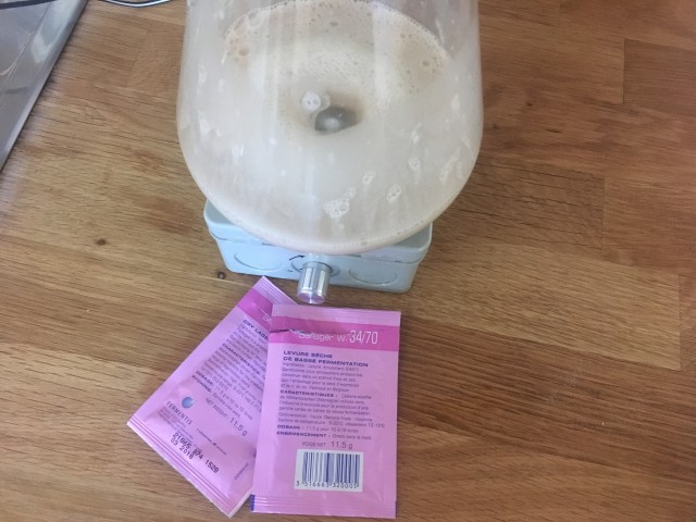 UG-Hefe rehydrieren und belüften.JPG