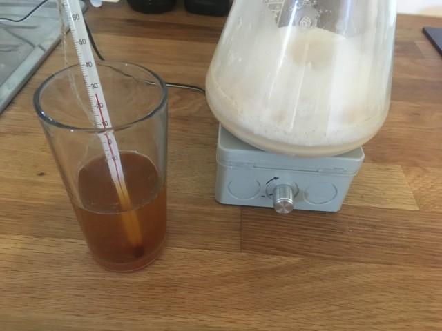Hefe mit gesonderter Würze anfüttern.JPG